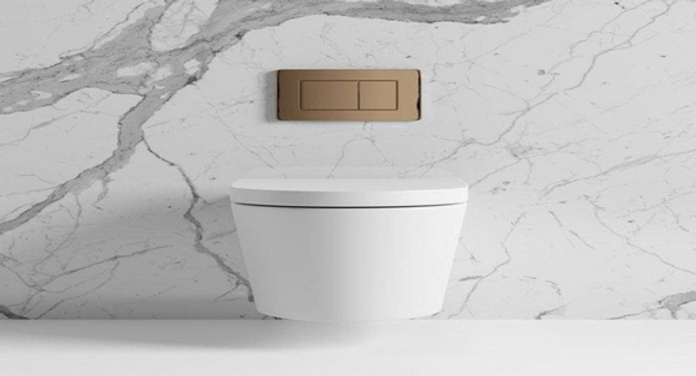 toilet sample for toilet plumbing cost