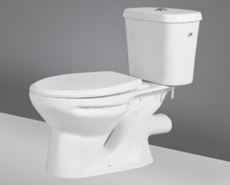 toilet sample for toilet plumbing cost