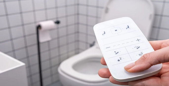 toilet sample for toilet plumbing cost