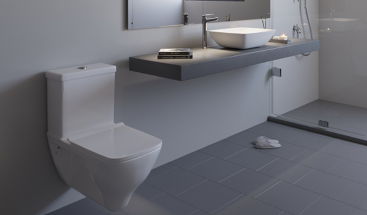 toilet sample for toilet plumbing cost